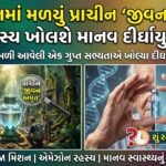 એમેઝોનના ઊંડાણમાં મળ્યું પ્રાચીન 'જીવન અમૃત': શું રહસ્ય ખોલશે માનવ દીર્ઘાયુષ્યનું? Amazon Life Elixir Discovery