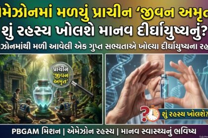 એમેઝોનના ઊંડાણમાં મળ્યું પ્રાચીન 'જીવન અમૃત': શું રહસ્ય ખોલશે માનવ દીર્ઘાયુષ્યનું? Amazon Life Elixir Discovery