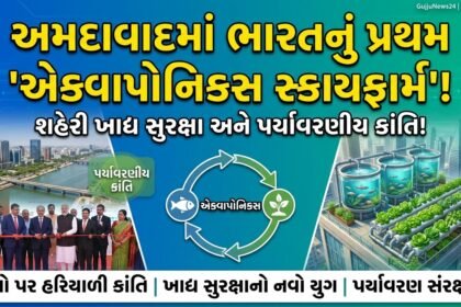 અમદાવાદમાં ભારતનું પ્રથમ 'એક્વાપોનિક્સ સ્કાયફાર્મ નેટવર્ક': શહેરી ખાદ્ય સુરક્ષા અને પર્યાવરણીય ક્રાંતિ!