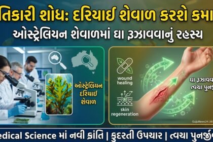 ક્રાંતિકારી શોધ: ઓસ્ટ્રેલિયન દરિયાઈ શેવાળ ઘા રૂઝાવવામાં કરશે કમાલ! (Revolutionary Seaweed Discovery for Wound Healing)