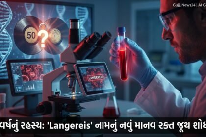 50 વર્ષ જૂનું રહસ્ય ઉકેલાયું: 'Langereis' નામનું નવું Human Blood Group શોધી કઢાયું!