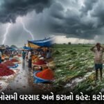 રાજકોટમાં કમોસમી વરસાદ અને કરાનો કહેર: મસાલા માર્કેટ અને ખેતીને કરોડોનું નુકસાન! (Rajkot Unseasonal Rain, Hailstorm havoc)