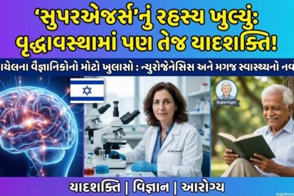 સુપરએજર્સનું રહસ્ય ખુલ્યું: શું વૃદ્ધાવસ્થામાં પણ તેજ યાદશક્તિ જાળવી શકાશે? ન્યુરોજેનેસિસ અને જ્ઞાનાત્મક સ્વાસ્થ્યનો નવો યુગ