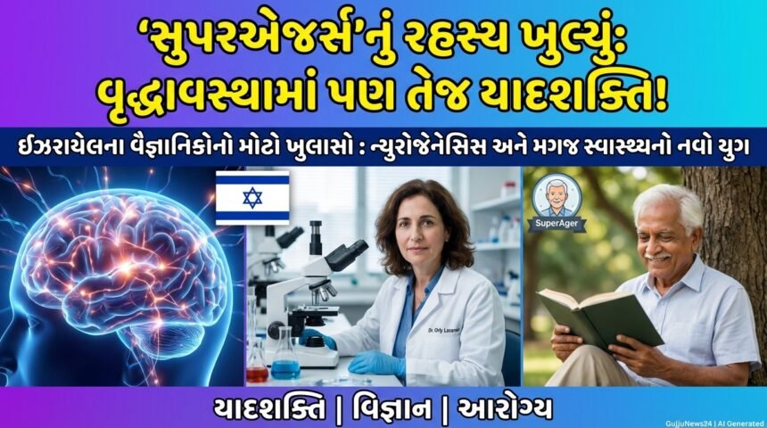 સુપરએજર્સનું રહસ્ય ખુલ્યું: શું વૃદ્ધાવસ્થામાં પણ તેજ યાદશક્તિ જાળવી શકાશે? ન્યુરોજેનેસિસ અને જ્ઞાનાત્મક સ્વાસ્થ્યનો નવો યુગ