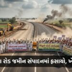 વડોદરા રિંગ રોડના વિકાસને જમીન સંપાદનનો ગ્રહણ: પ્રથમ તબક્કાના 7% કામ અટવાયું, ખેડૂતોમાં રોષ | Vadodara Ring Road Faces Land Acquisition Hurdles